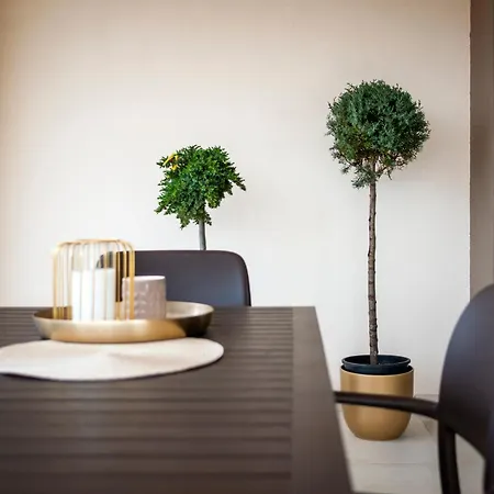 Apartment Salteria Iv *
